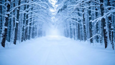 Зимняя уборка территории